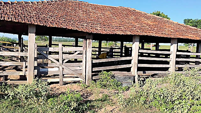 I Went to Visit My Farm and Ended up Having Sex with the Cowboy; He Fucked Me Like a Slut.